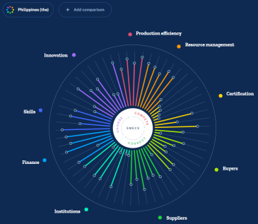 Philippines (the) Competitiveness Assessment