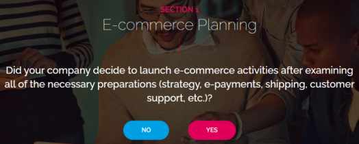 E-Commerce Planing Quiz